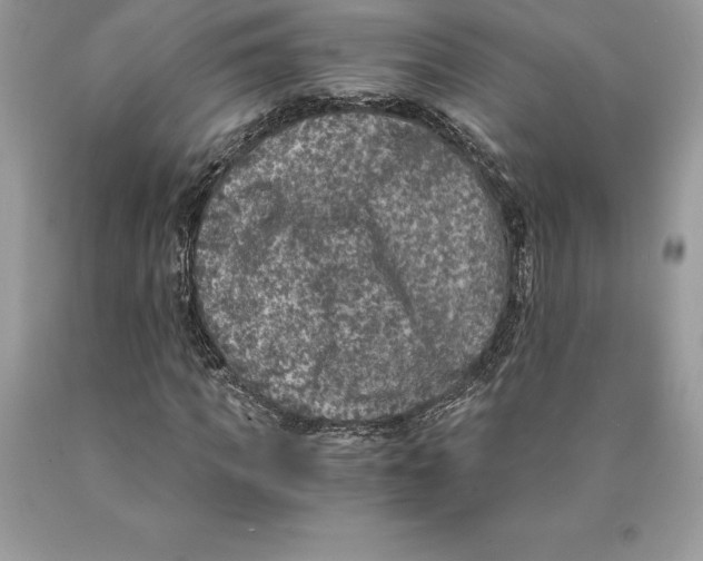 X0000089970917200707271918