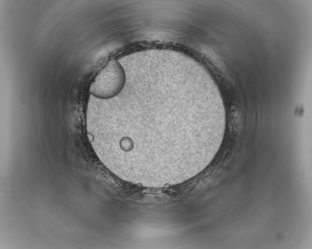 X0000089970918200707271918