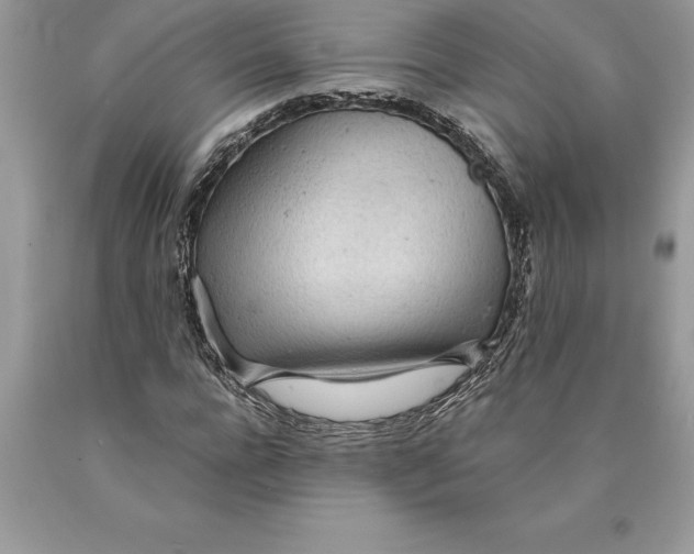 X0000089970920200707271918