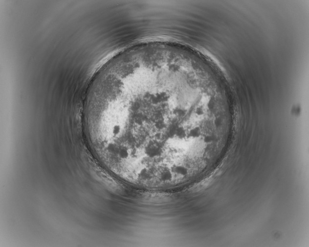 X0000089970921200707271918