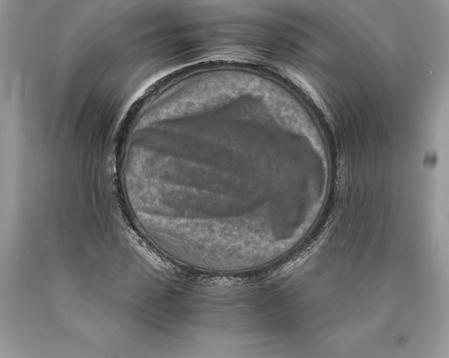 X0000089970923200707271918