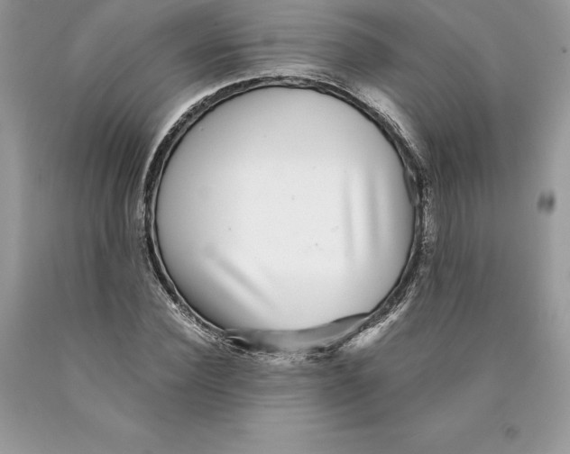 X0000089970924200707271918