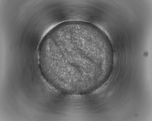 X0000089970925200707271918