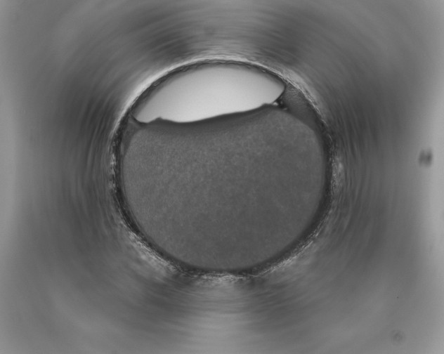 X0000089970926200707271918