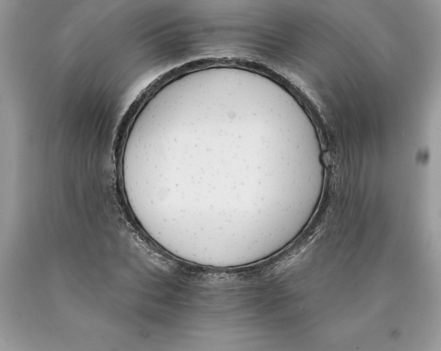 X0000089970927200707271918