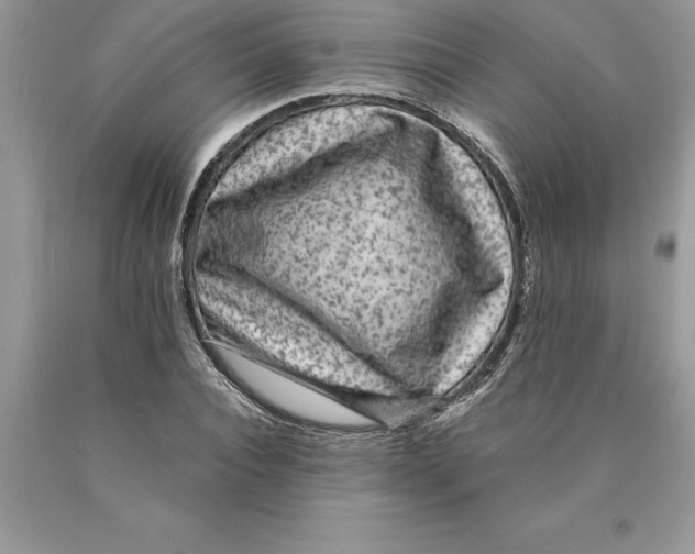 X0000089970928200707271918