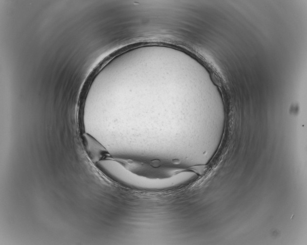 X0000089970932200707271918