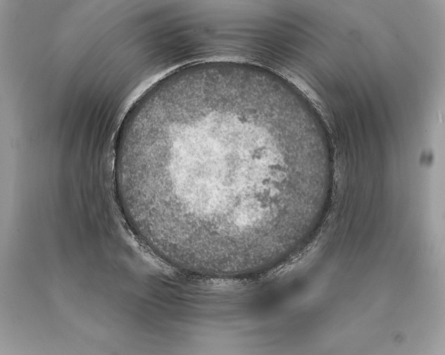 X0000089970933200707271918