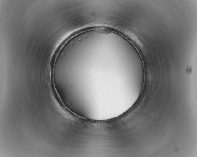 X0000089970934200707271918