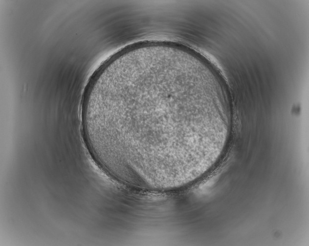 X0000089970935200707271918