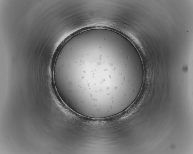 X0000089970936200707271918