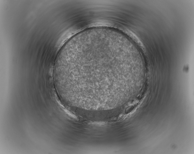 X0000089970937200707271918