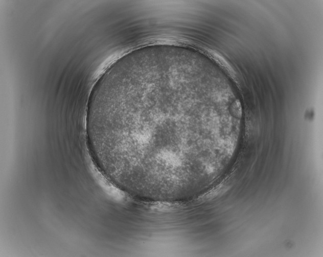 X0000089970938200707271918