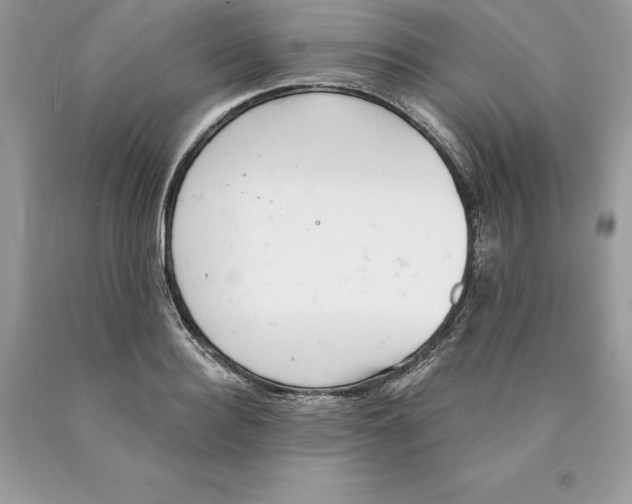 X0000089970940200707271918