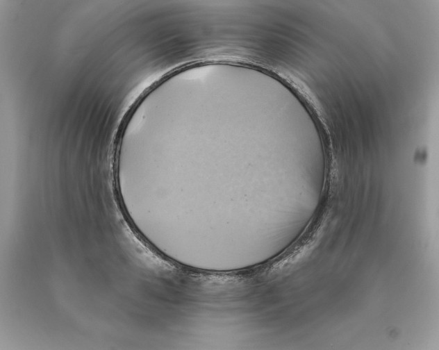 X0000089970941200707271918