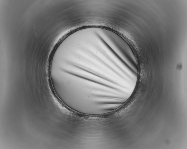 X0000089970942200707271918