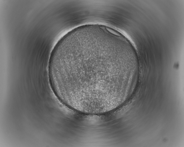 X0000089970943200707271918