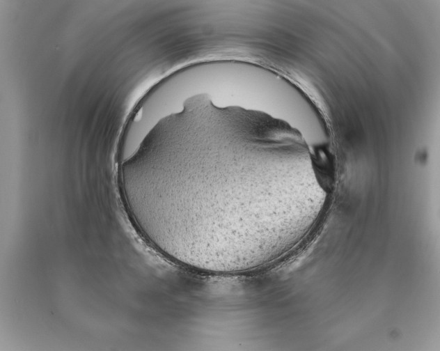 X0000089970944200707271919