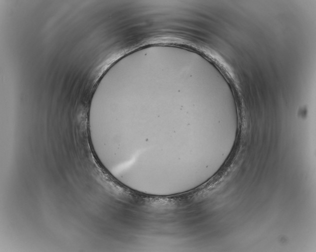 X0000089970945200707271919