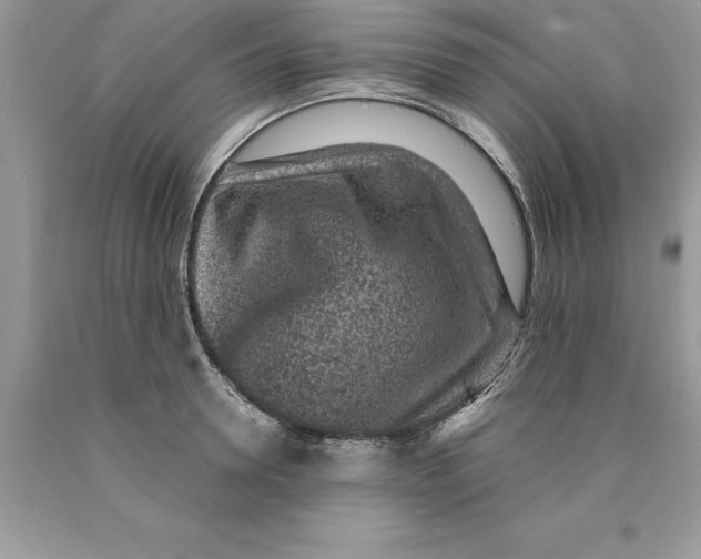 X0000089970946200707271919