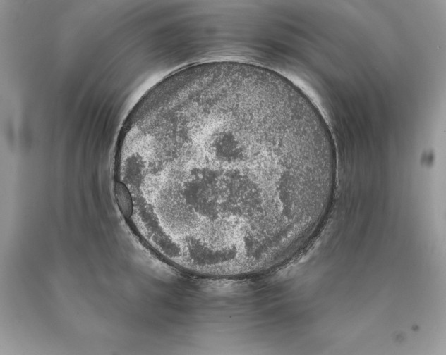 X0000089970949200707271919