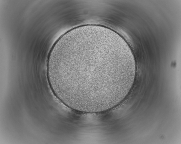 X0000089970950200707271919