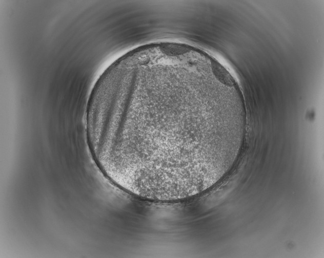 X0000089970951200707271919