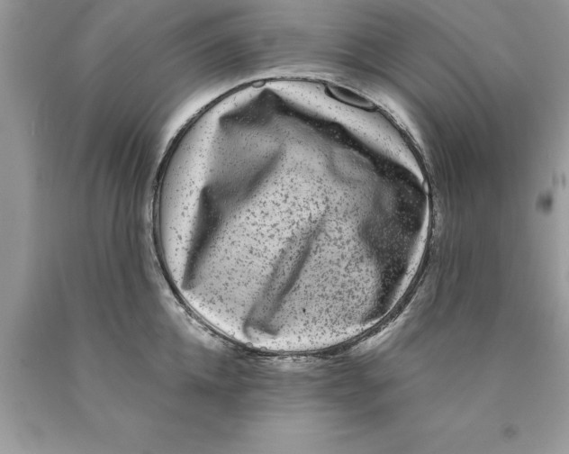 X0000089970952200707271919