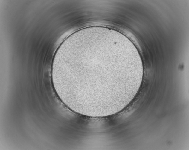 X0000089970954200707271919