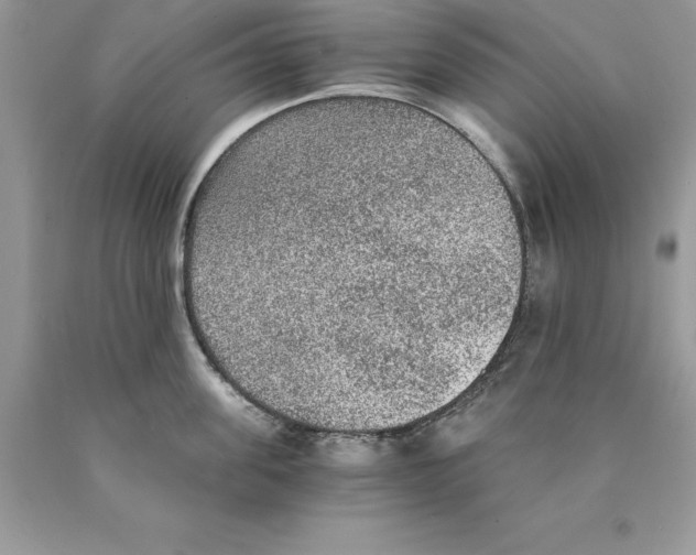 X0000089970955200707271919