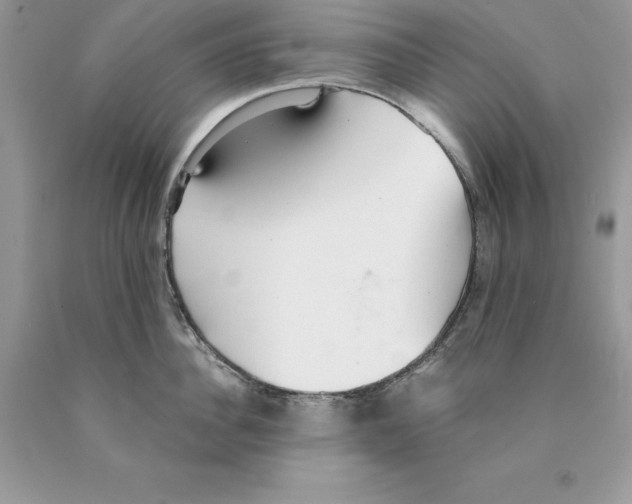 X0000089970956200707271919