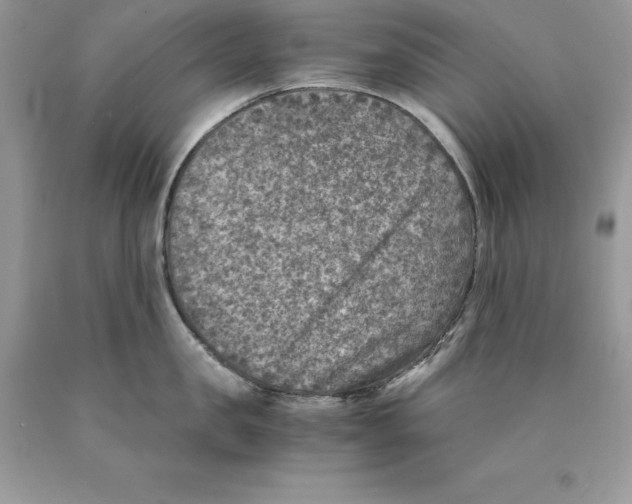 X0000089970957200707271919