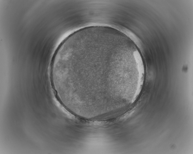 X0000089970958200707271919