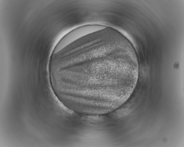 X0000089970959200707271919