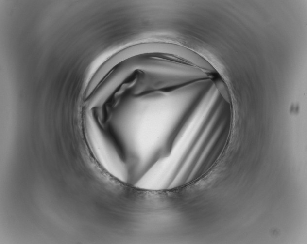 X0000089970960200707271919