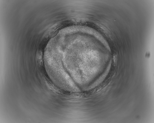 X0000089970963200707271918