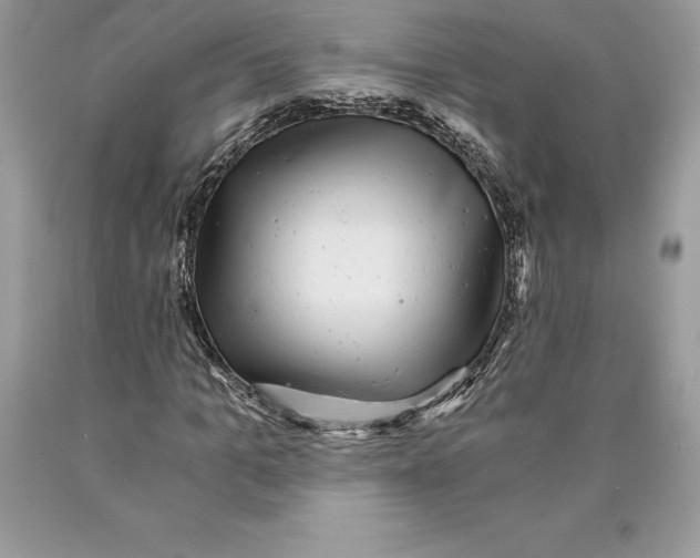 X0000089970965200707271918