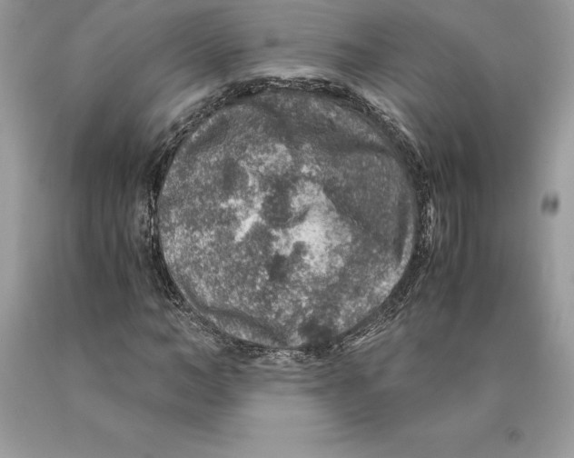 X0000089970966200707271918