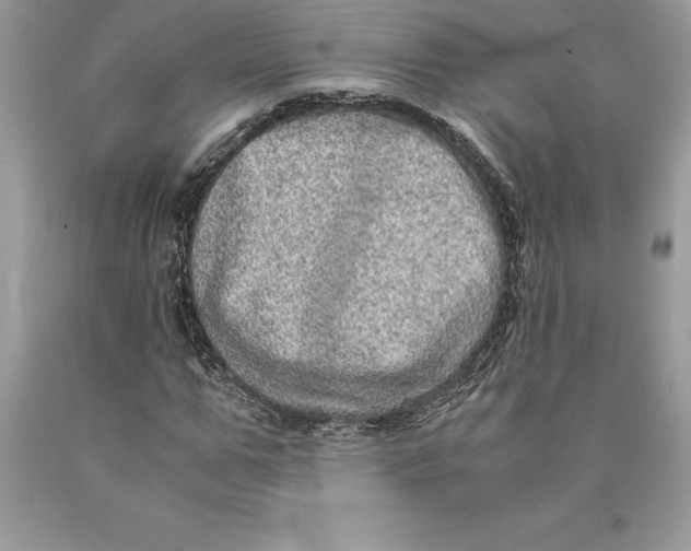 X0000089970967200707271918