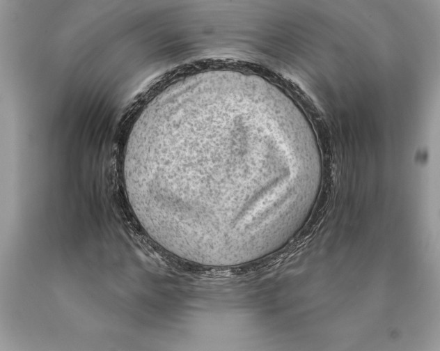 X0000089970968200707271918