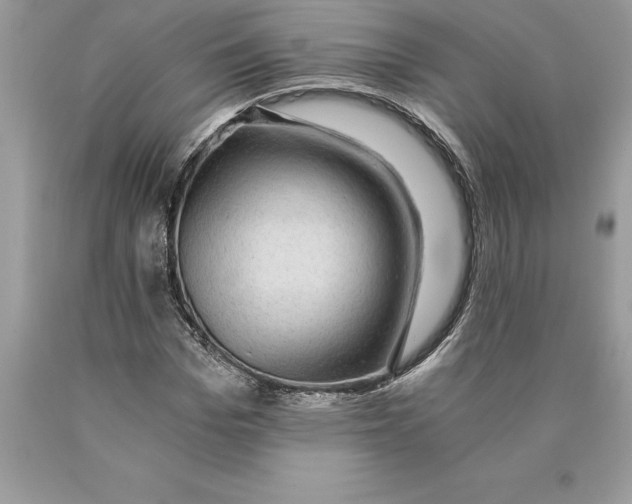 X0000089970969200707271918