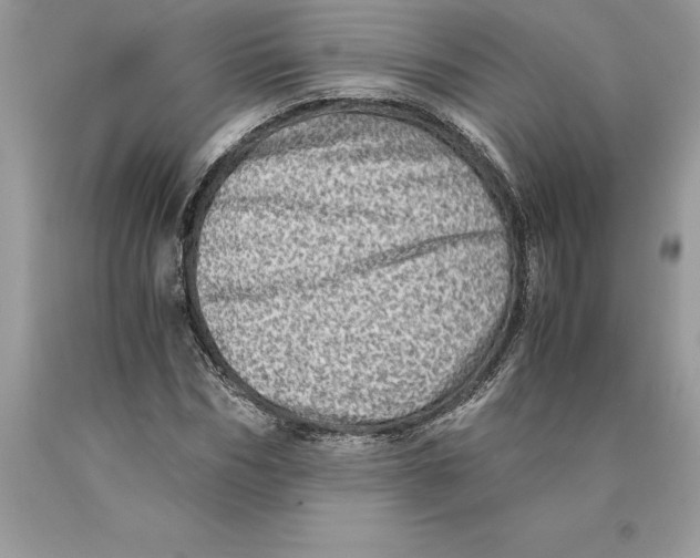 X0000089970970200707271918