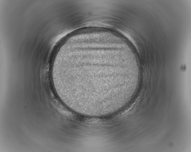 X0000089970971200707271918