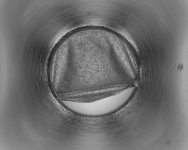 X0000089970972200707271918