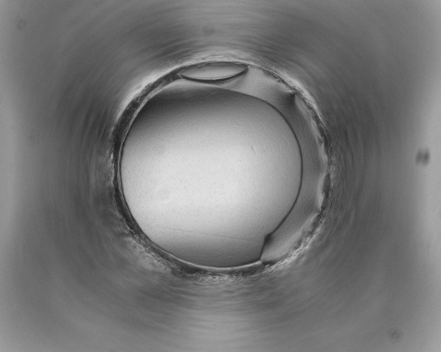 X0000089970973200707271918