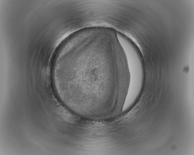 X0000089970975200707271918