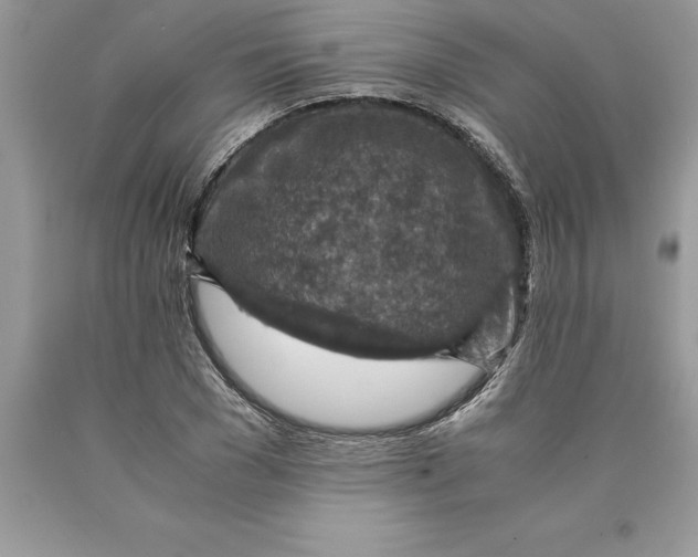 X0000089970977200707271918