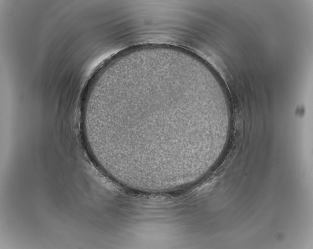 X0000089970979200707271918