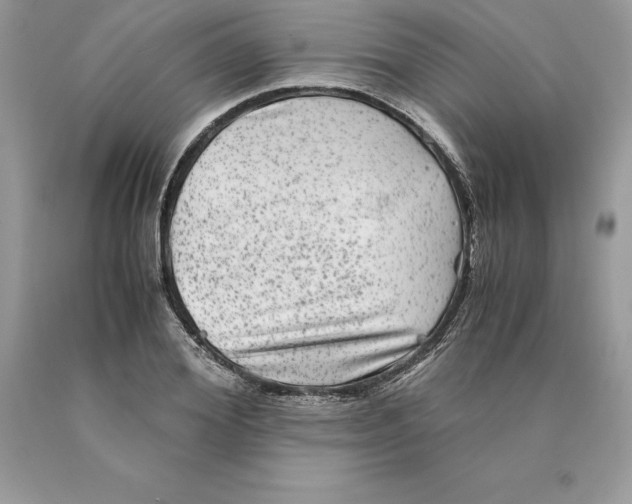 X0000089970980200707271918