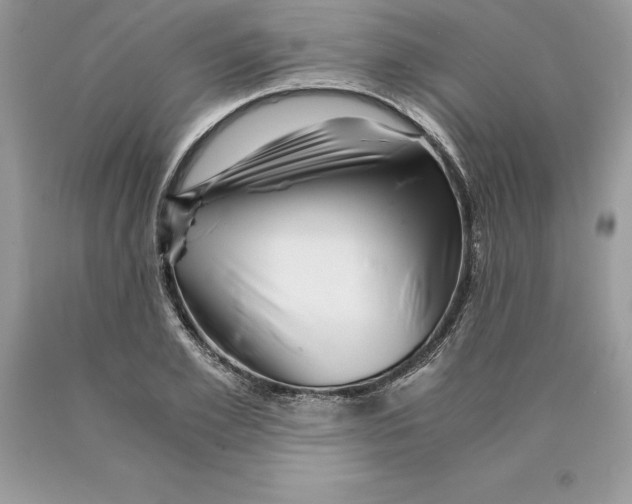 X0000089970981200707271918